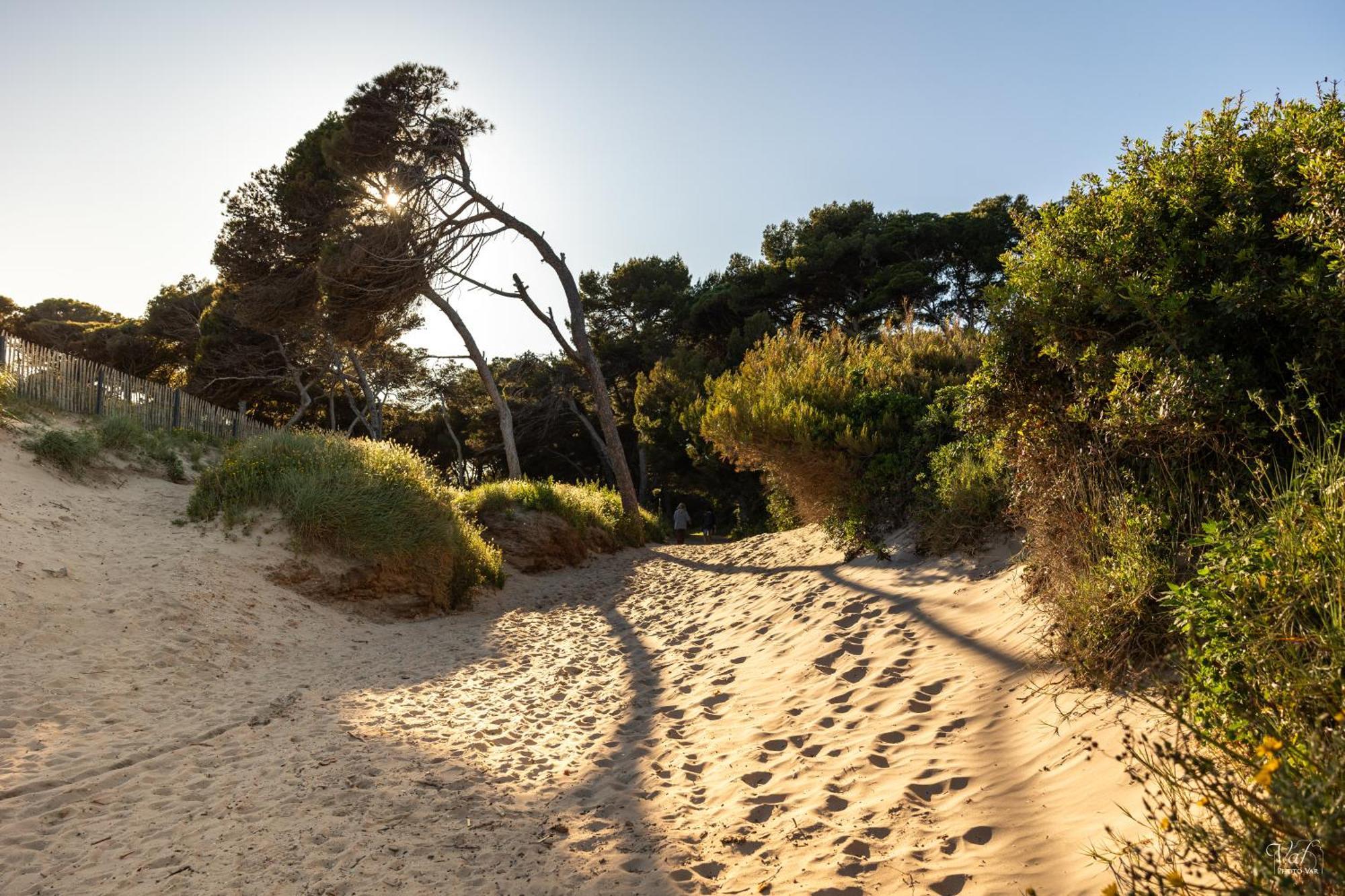 Villa Le De La Presqu Ile De Giens Sea And Mountain Pleasure *