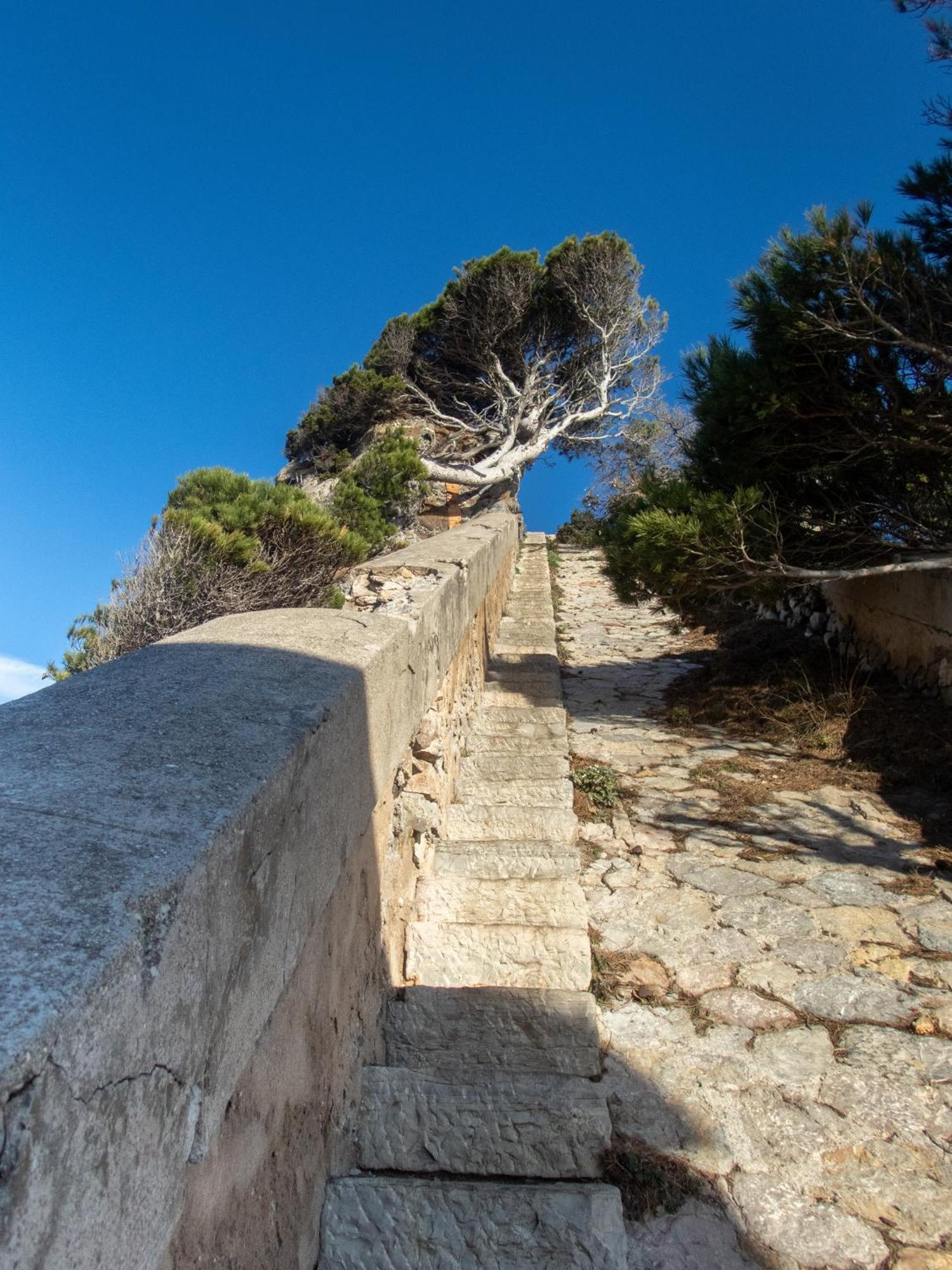 Le De La Presqu Ile De Giens Sea And Mountain Pleasure Hyeres