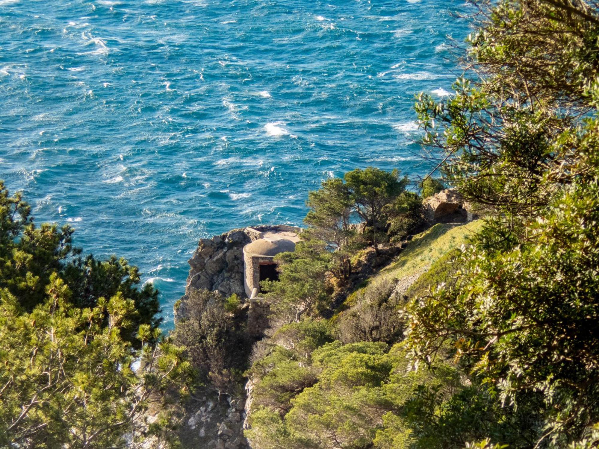 Le De La Presqu Ile De Giens Sea And Mountain Pleasure Hyeres