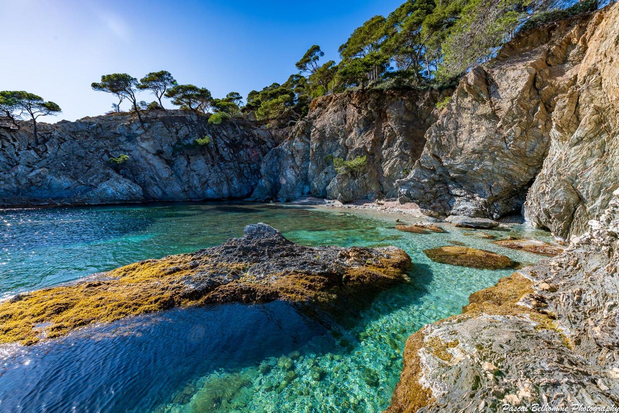 Villa Le De La Presqu Ile De Giens Sea And Mountain Pleasure *